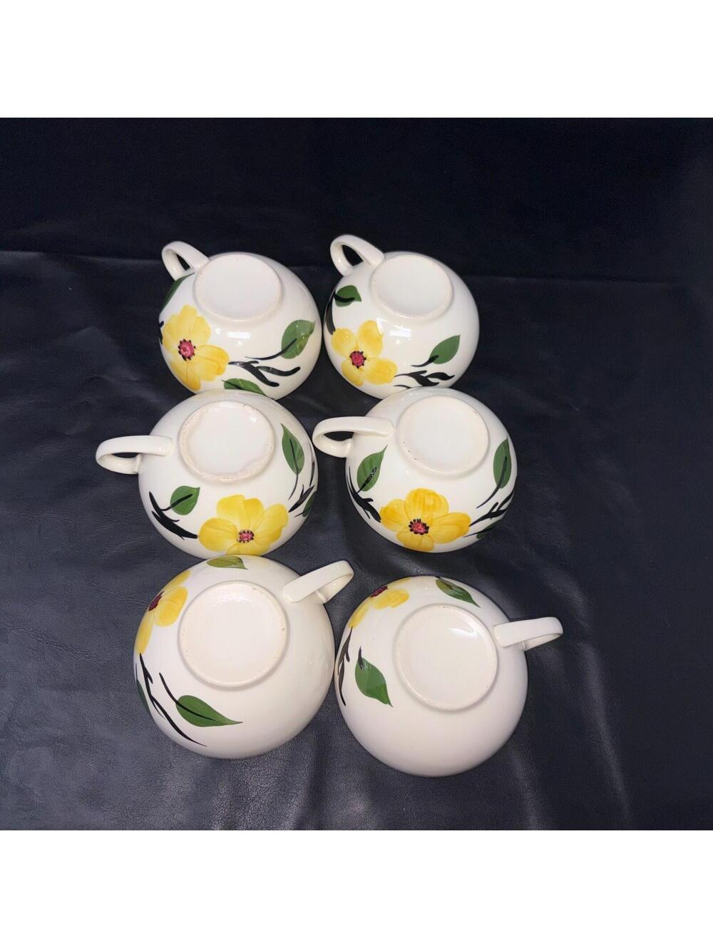 6 Blue Ridge Southern Pottery Dogwood Yellow Flowers Cups & Saucer Plates - Picture 10 of 10
